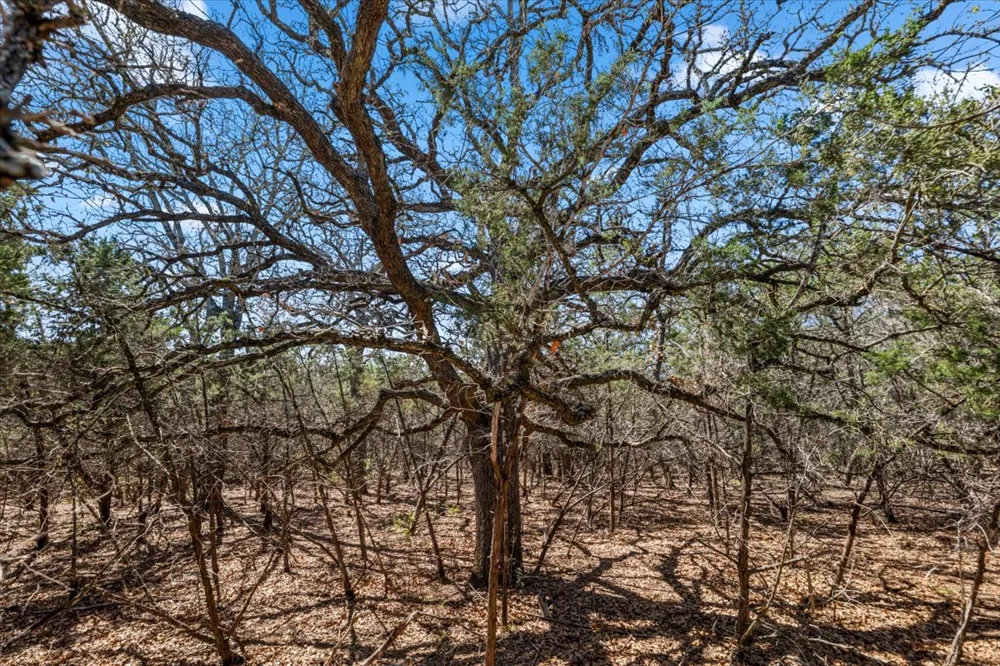 25723 Hamilton Pool Road Round Mountain, TX 78654
