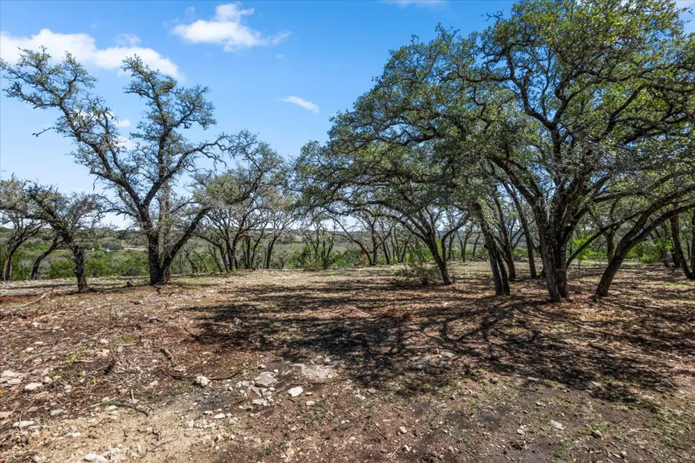 25723 Hamilton Pool Road Round Mountain, TX 78654
