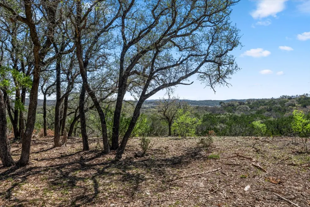 25723 Hamilton Pool Road Round Mountain, TX 78654