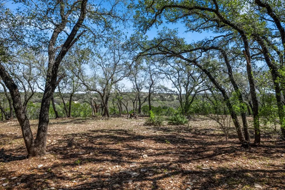 25723 Hamilton Pool Road Round Mountain, TX 78654
