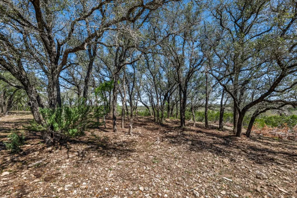 25723 Hamilton Pool Road Round Mountain, TX 78654