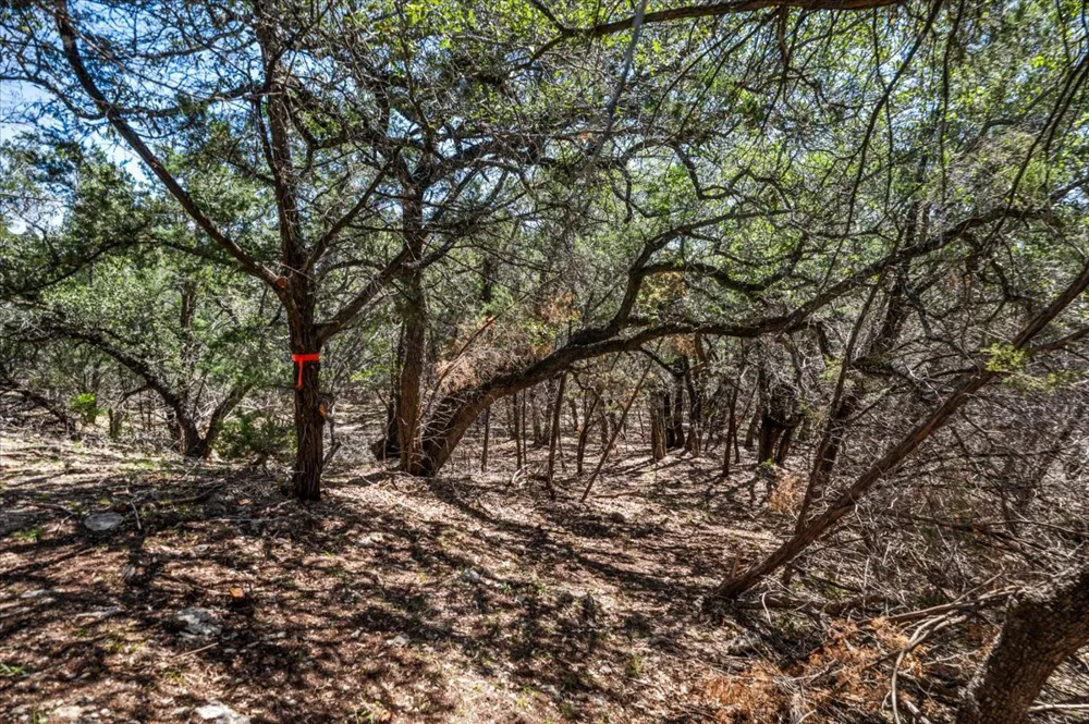 25723 Hamilton Pool Road Round Mountain, TX 78654