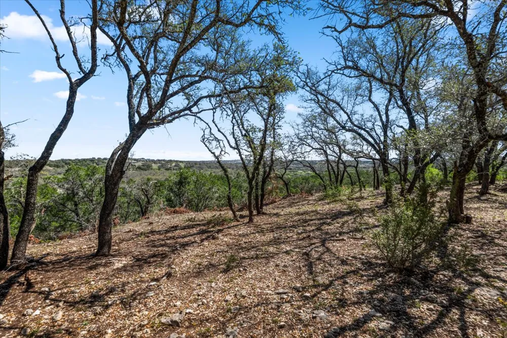 25723 Hamilton Pool Road Round Mountain, TX 78654