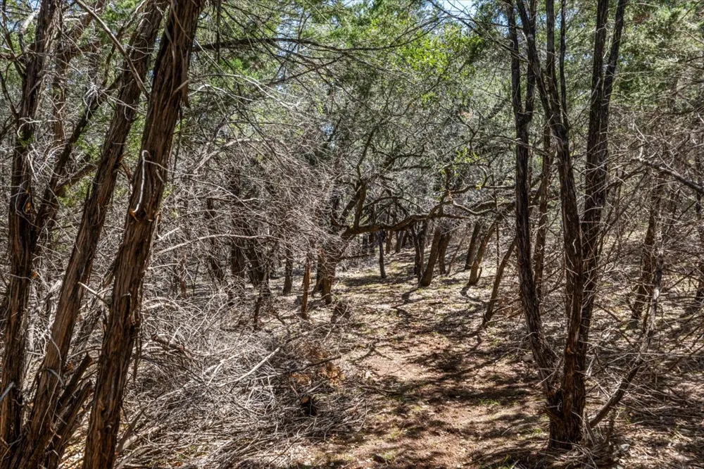 25723 Hamilton Pool Road Round Mountain, TX 78654
