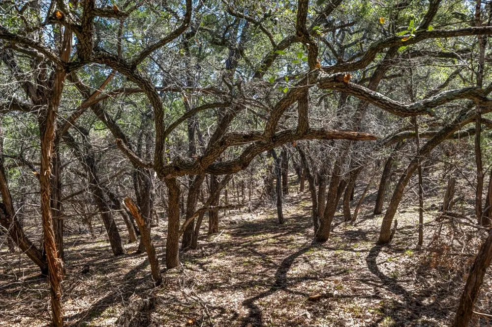 25723 Hamilton Pool Road Round Mountain, TX 78654