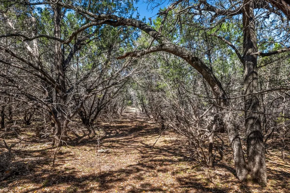 25723 Hamilton Pool Road Round Mountain, TX 78654