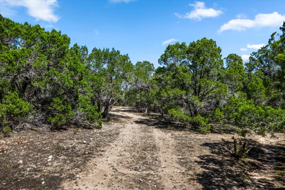 25723 Hamilton Pool Road Round Mountain, TX 78654