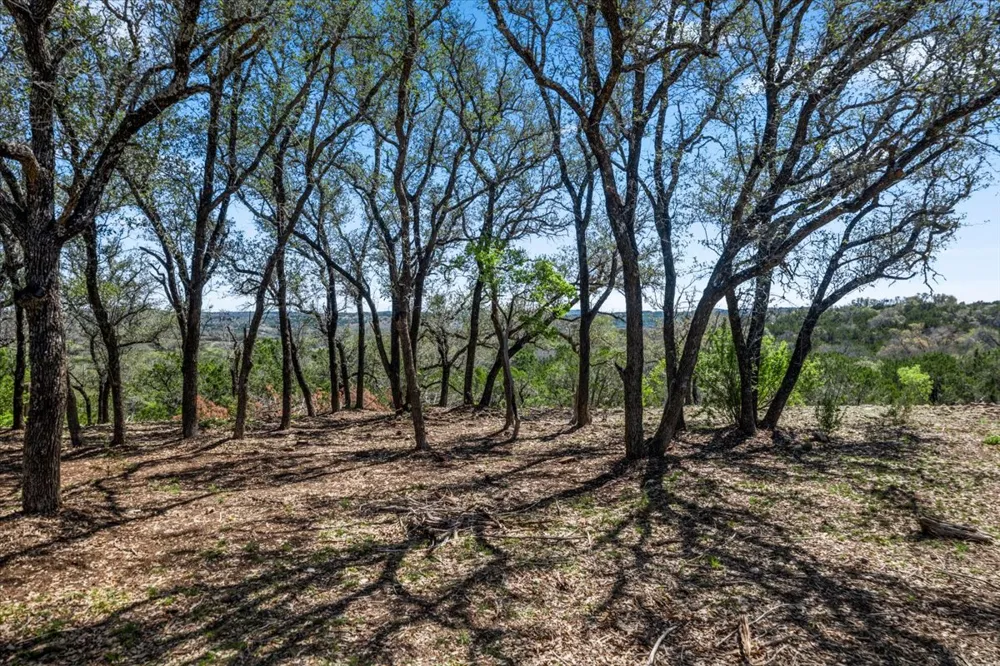 25723 Hamilton Pool Road Round Mountain, TX 78654
