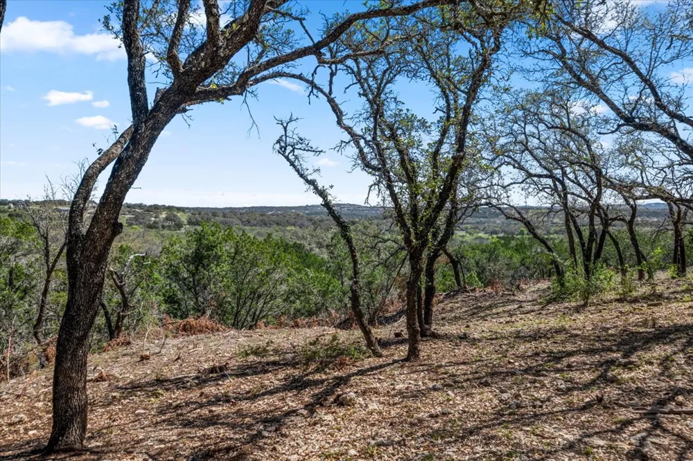25723 Hamilton Pool Road Round Mountain, TX 78654