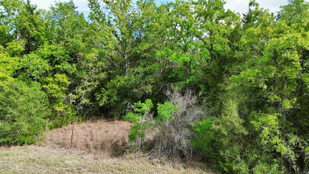 2 FM 180 Ledbetter, TX 78946