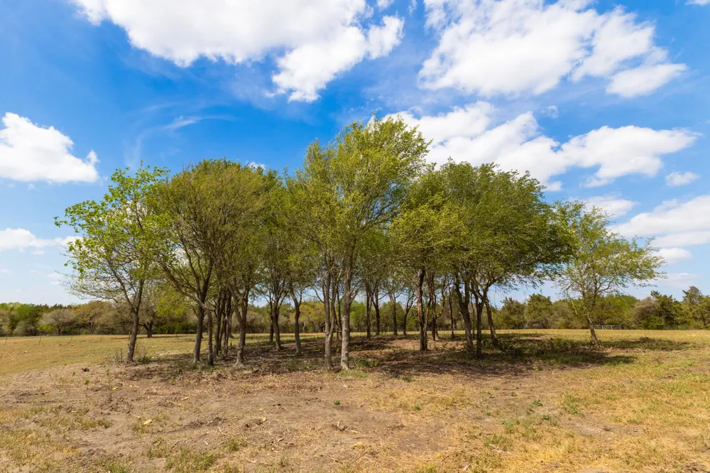 2112 Baca Loop Flatonia, TX 78941