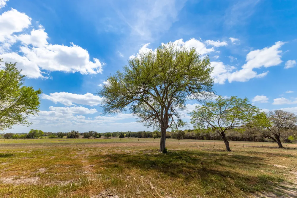 2112 Baca Loop Flatonia, TX 78941