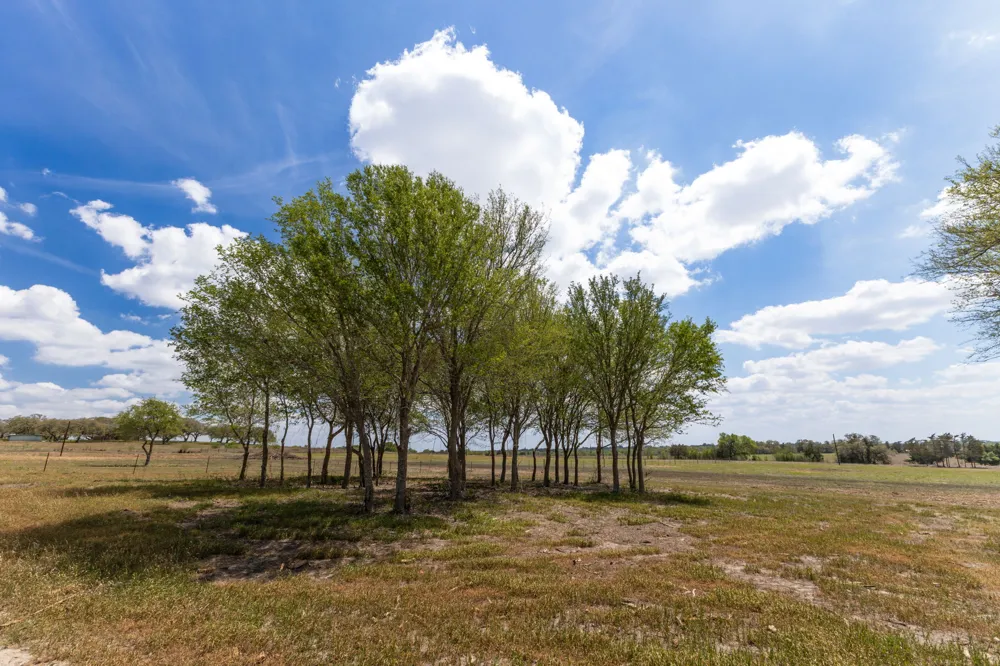 2112 Baca Loop Flatonia, TX 78941