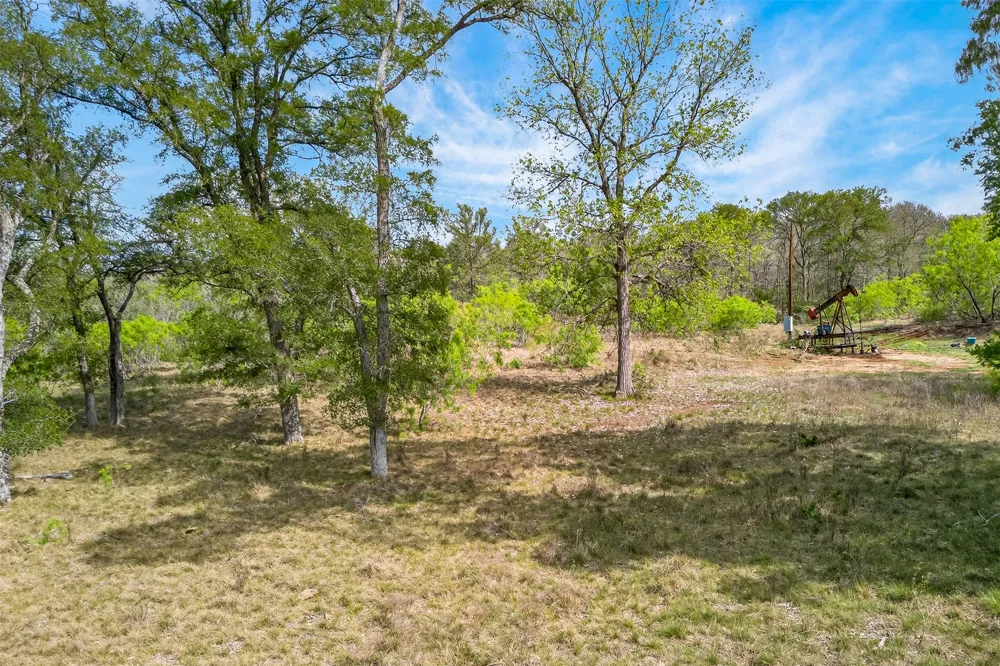 1077 Burdette Wells Road Lockhart, TX 78644