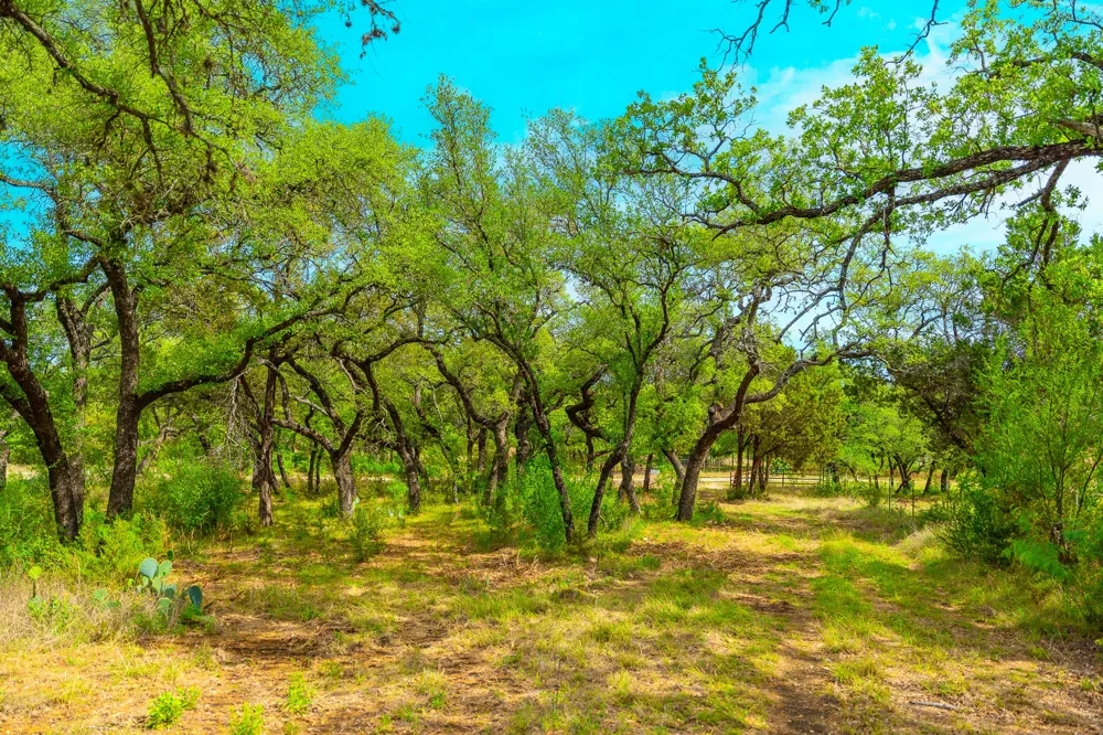 28205 Turner Ranch Road Marble Falls, TX 78654