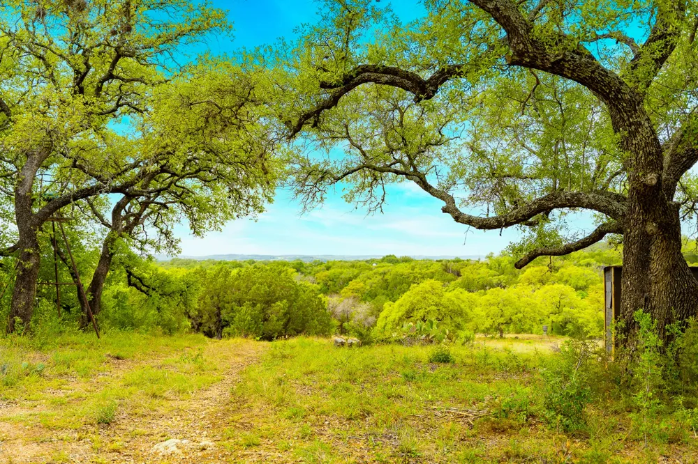28205 Turner Ranch Road Marble Falls, TX 78654