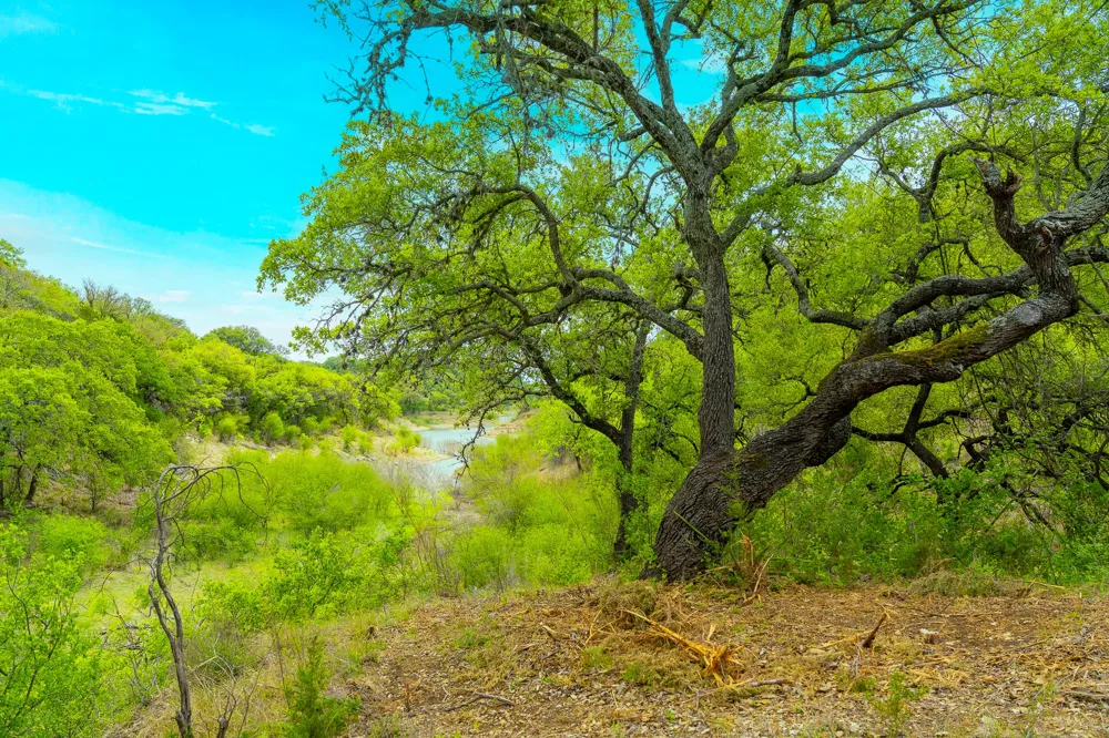 28205 Turner Ranch Road Marble Falls, TX 78654