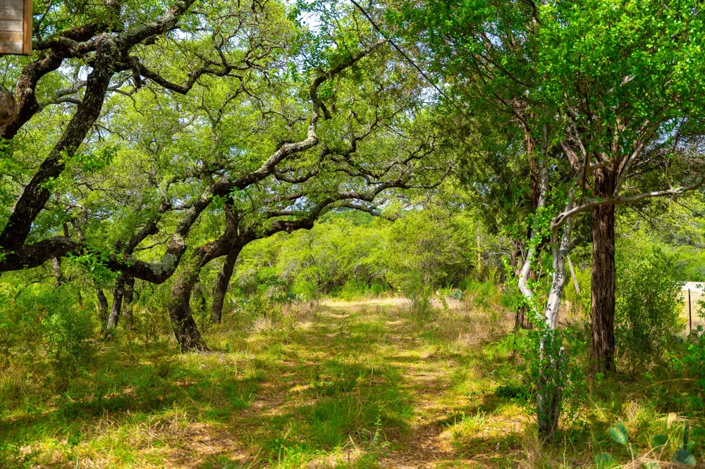 28205 Turner Ranch Road Marble Falls, TX 78654