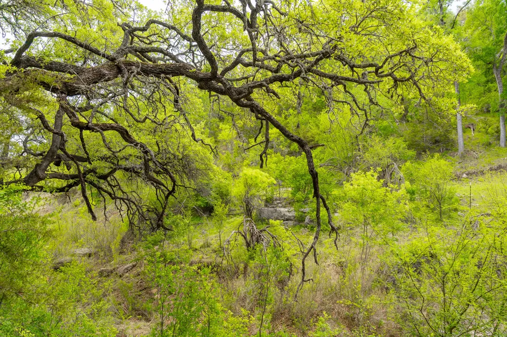 28205 Turner Ranch Road Marble Falls, TX 78654