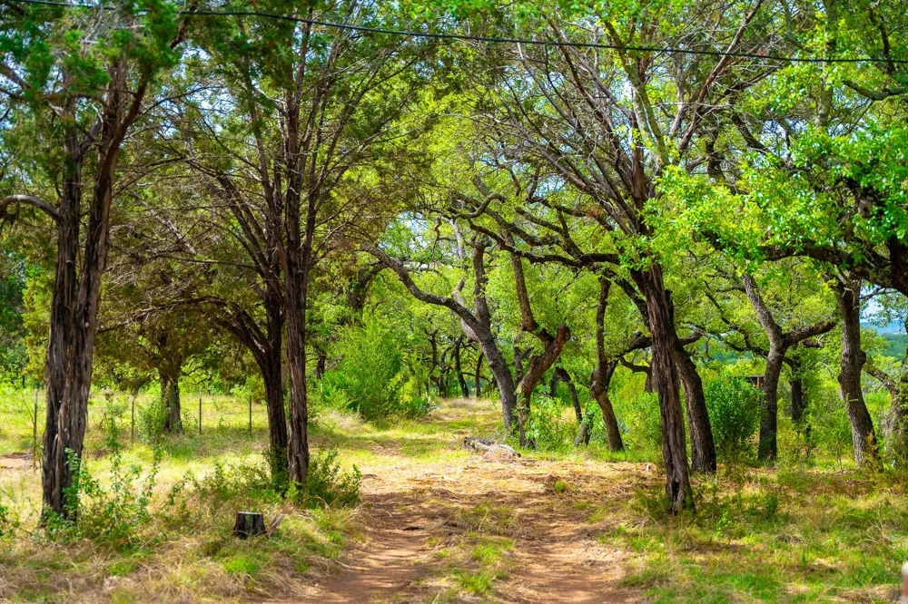 28205 Turner Ranch Road Marble Falls, TX 78654