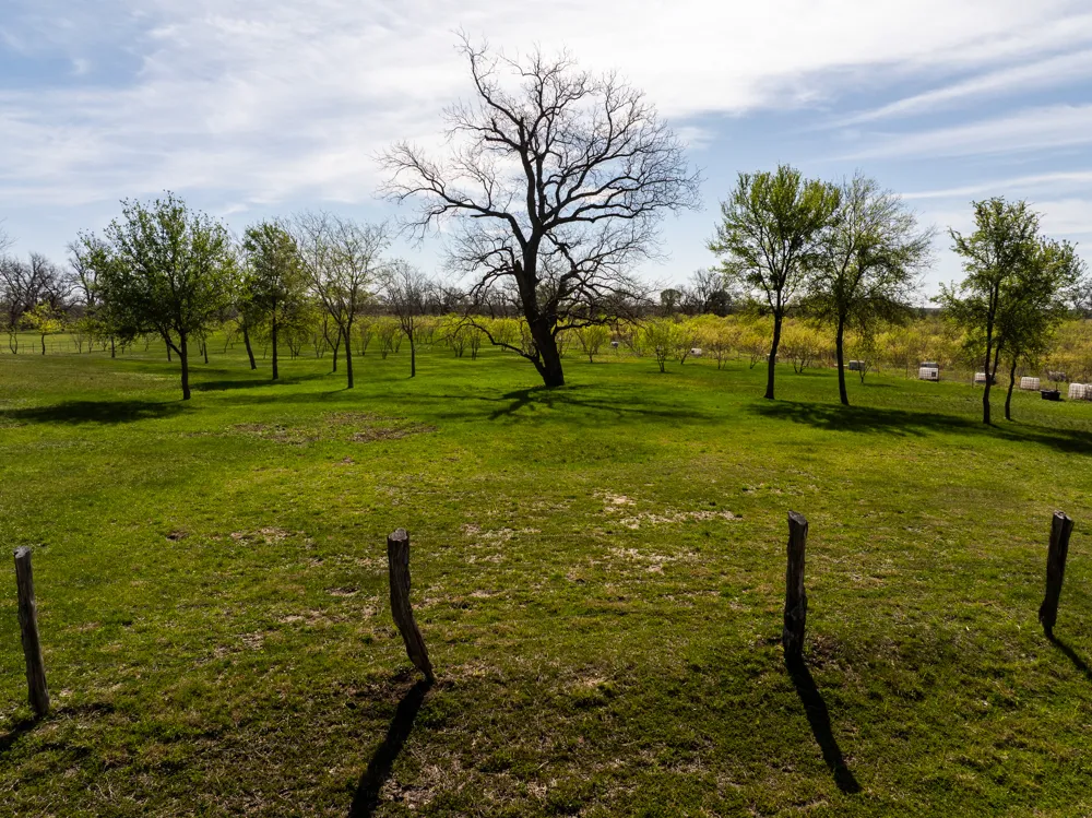 2041 County Road 429 Rockdale, TX 76567