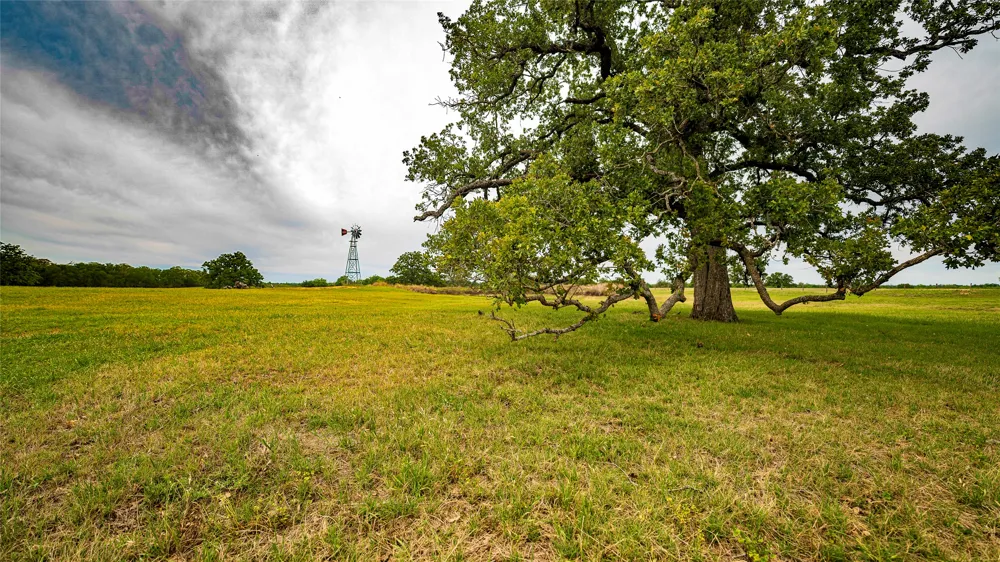 2234 County Road 434 Loop Rockdale, TX 76567
