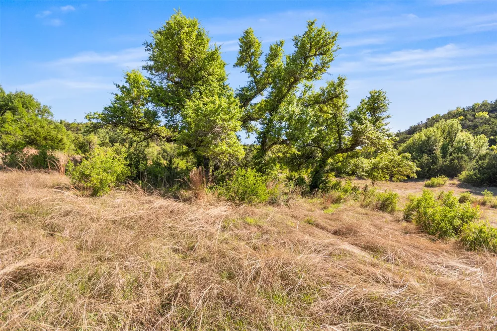743 Welgehausen Road Fredericksburg, TX 78624
