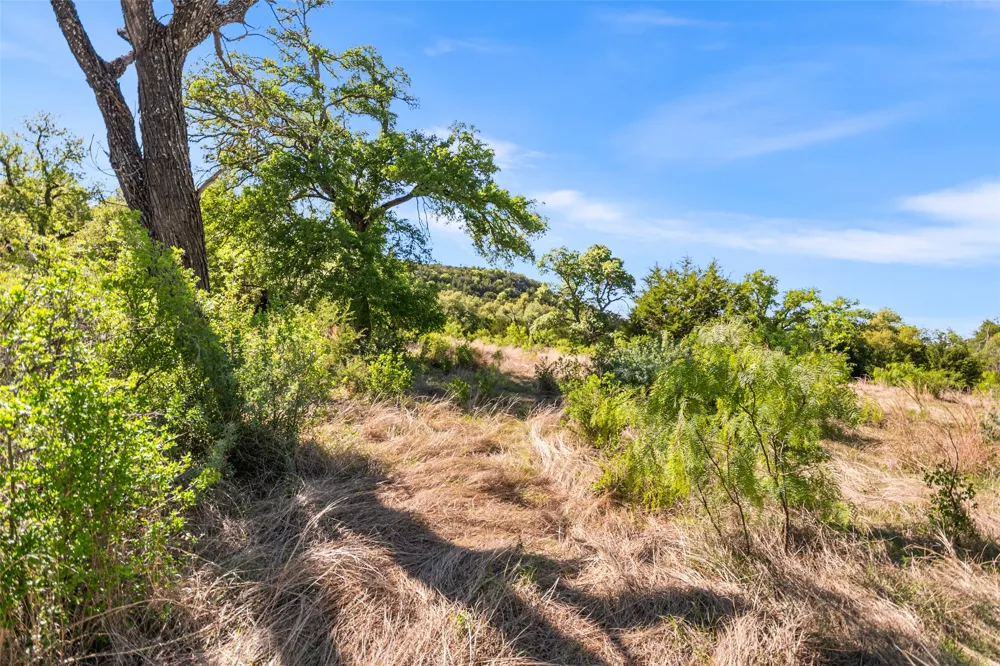743 Welgehausen Road Fredericksburg, TX 78624