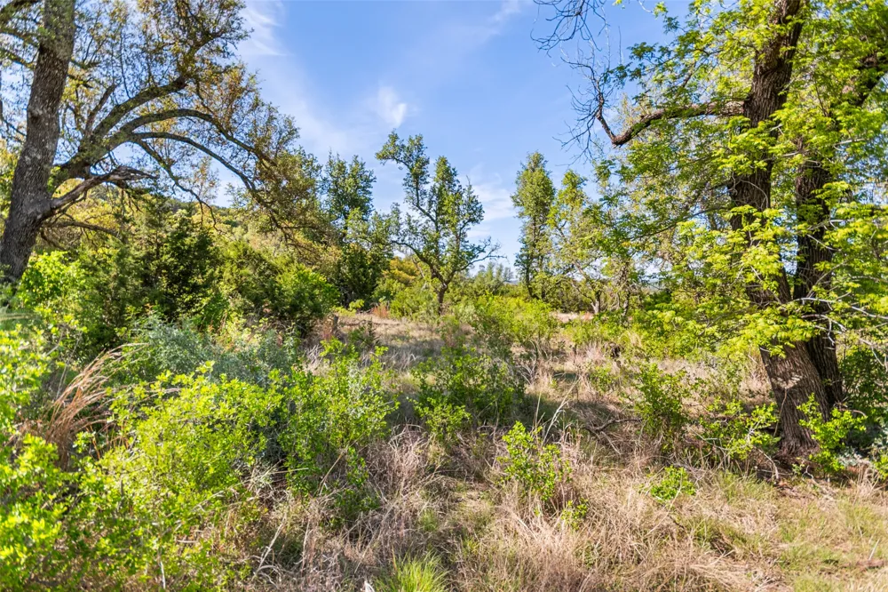 743 Welgehausen Road Fredericksburg, TX 78624