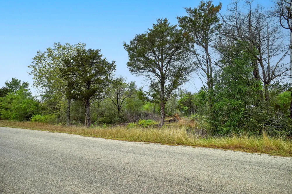 Gaines Road Cedar Creek, TX 78602