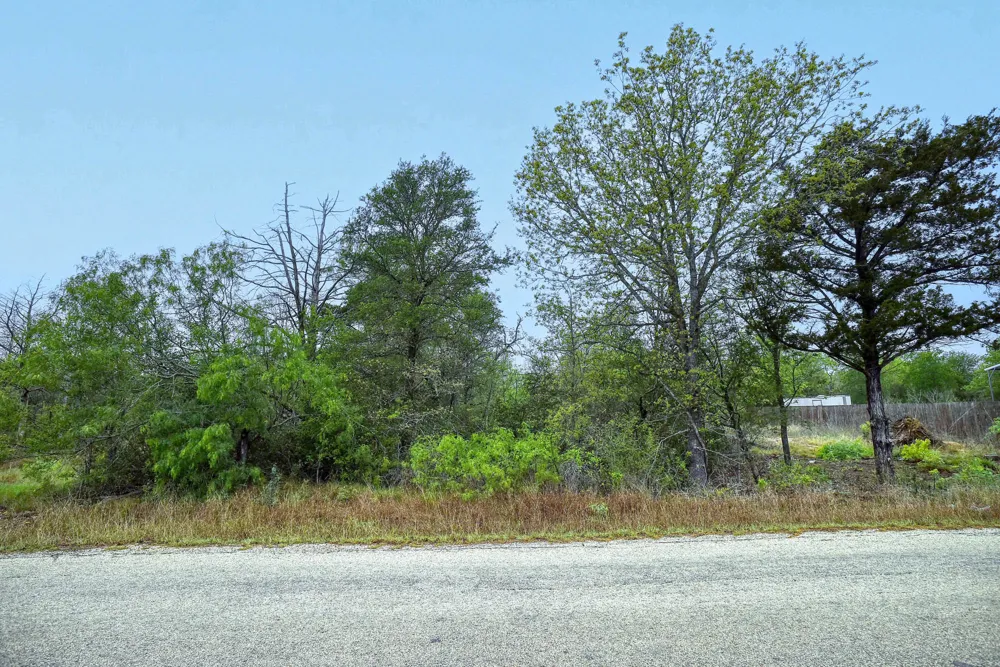 Gaines Road Cedar Creek, TX 78602