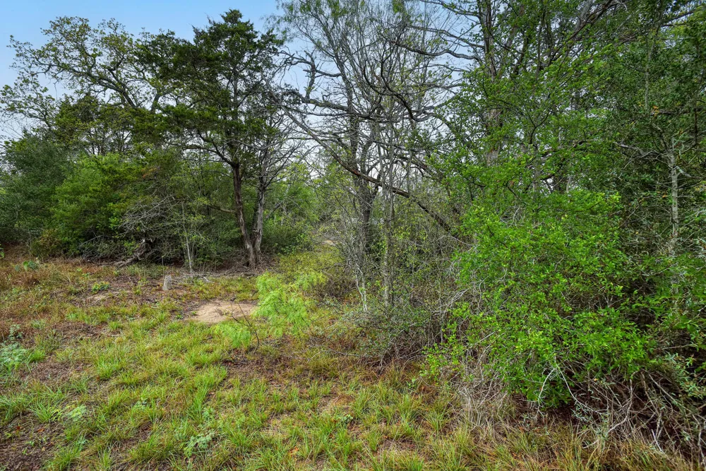 Gaines Road Cedar Creek, TX 78602