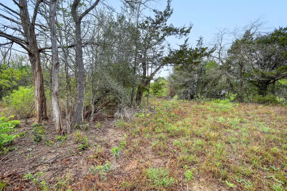 Gaines Road Cedar Creek, TX 78602