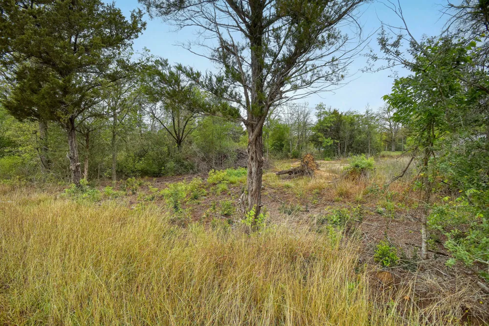 Gaines Road Cedar Creek, TX 78602