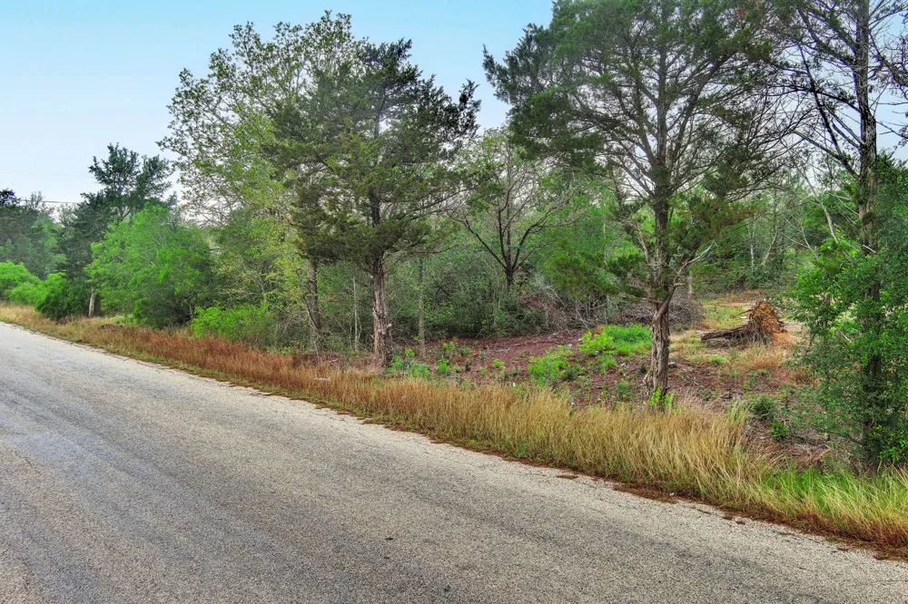 Gaines Road Cedar Creek, TX 78602