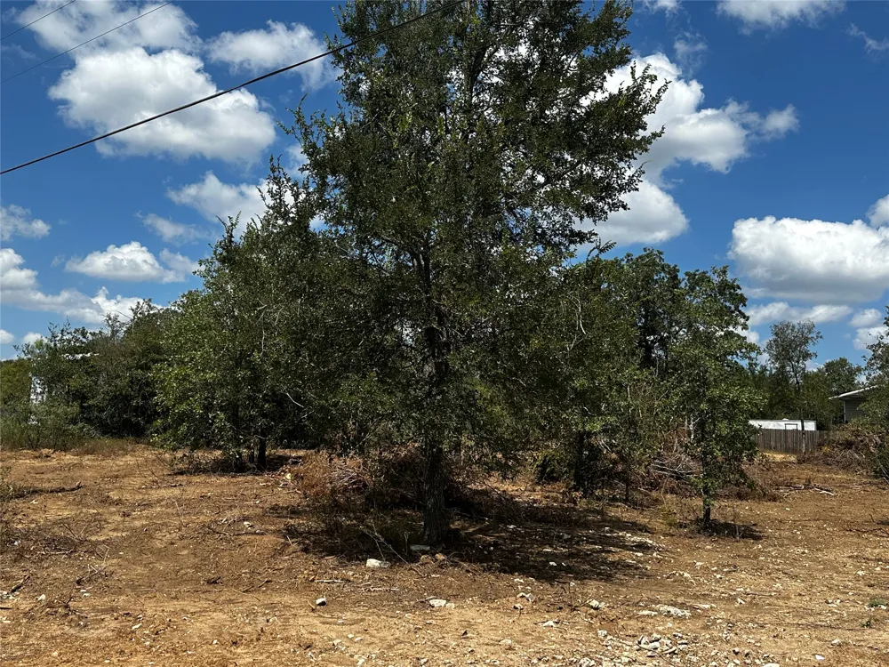Gaines Road Cedar Creek, TX 78602