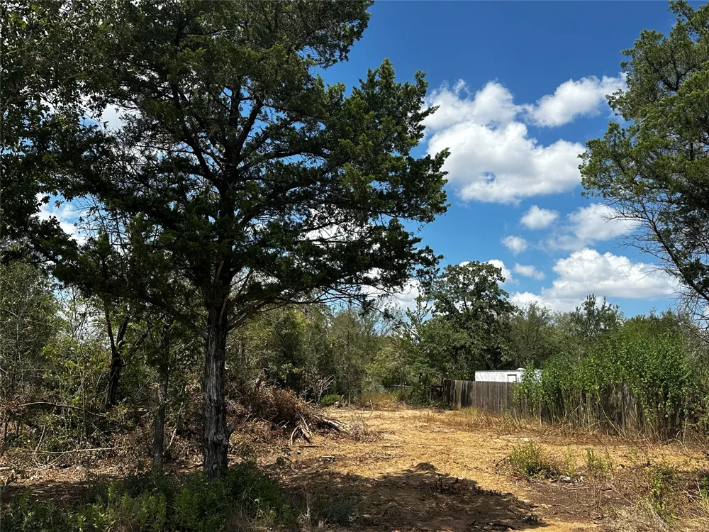 Gaines Road Cedar Creek, TX 78602