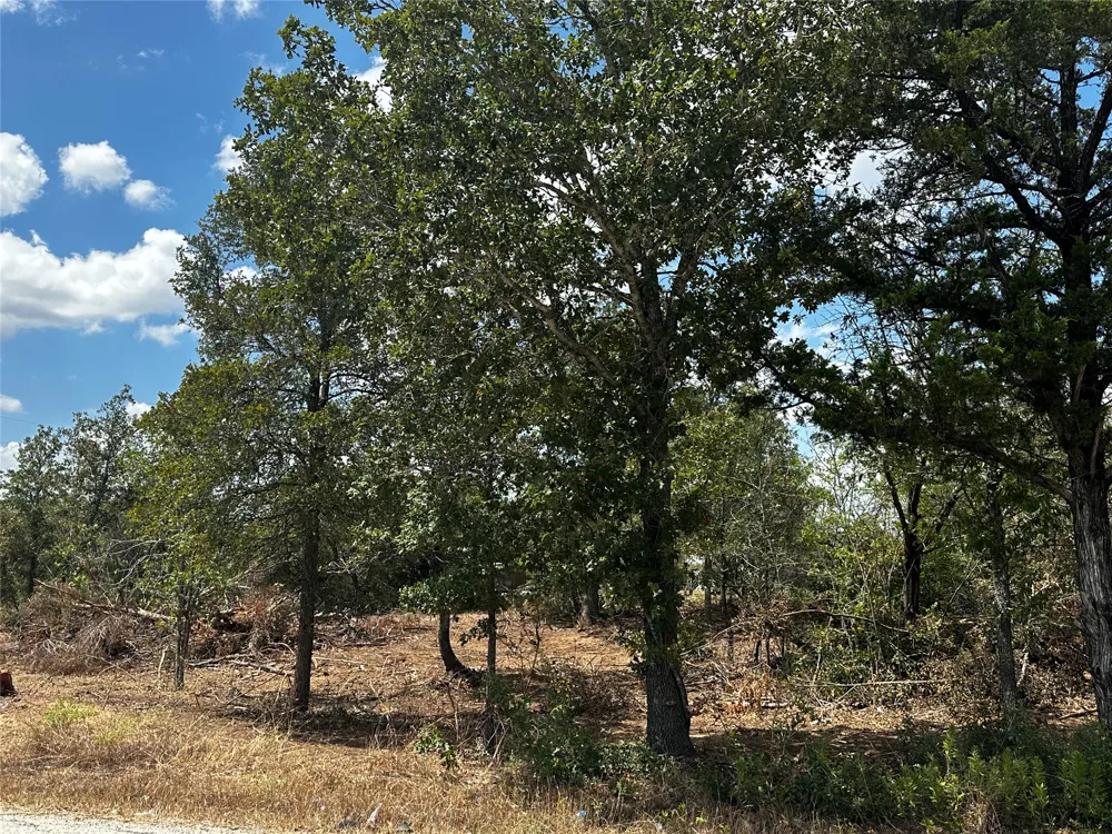 Gaines Road Cedar Creek, TX 78602