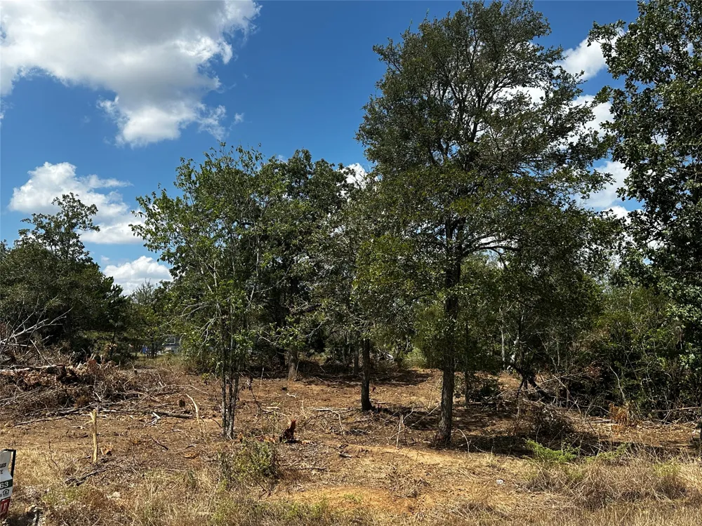 Gaines Road Cedar Creek, TX 78602