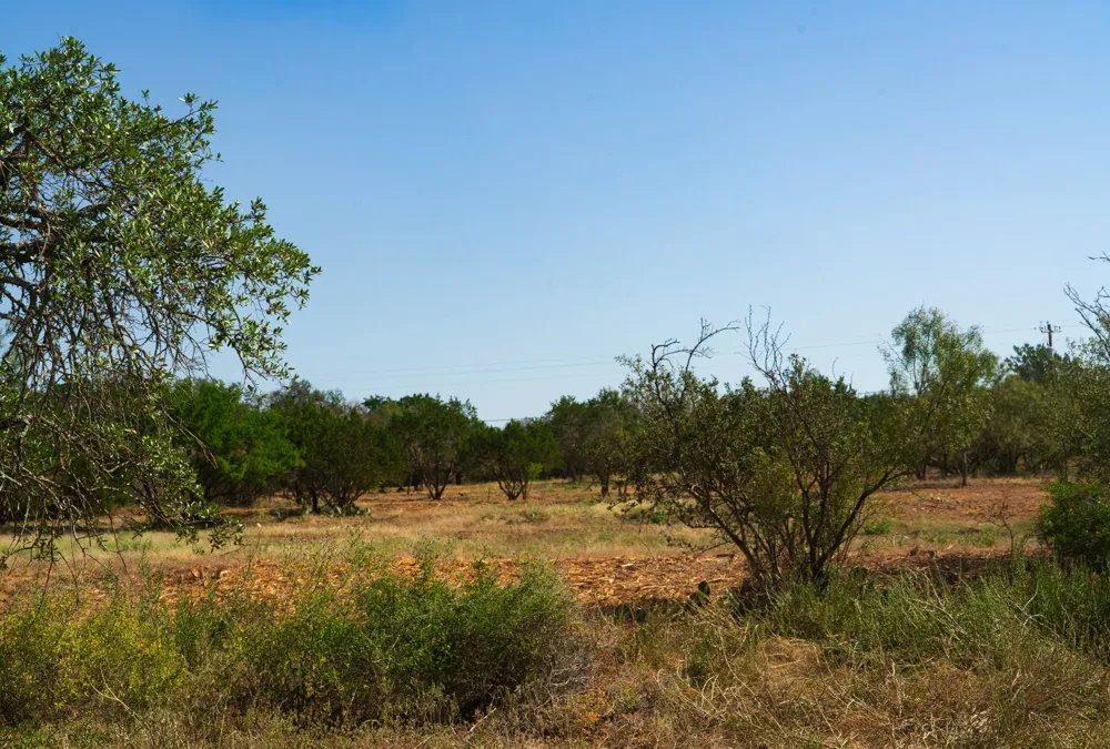 Old Ferry Road Spicewood, TX 78669