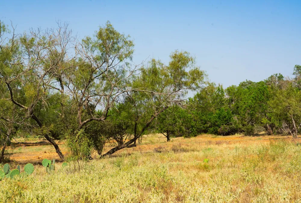 Old Ferry Road Spicewood, TX 78669