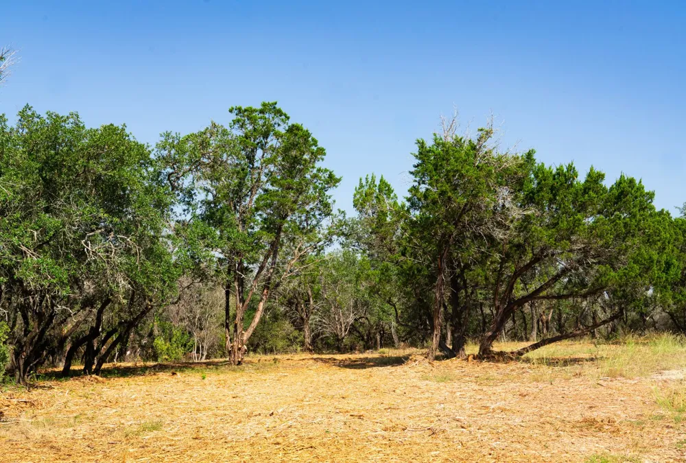 Old Ferry Road Spicewood, TX 78669