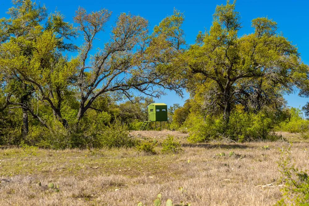 1100 Pump Station Road Wimberley, TX 78676