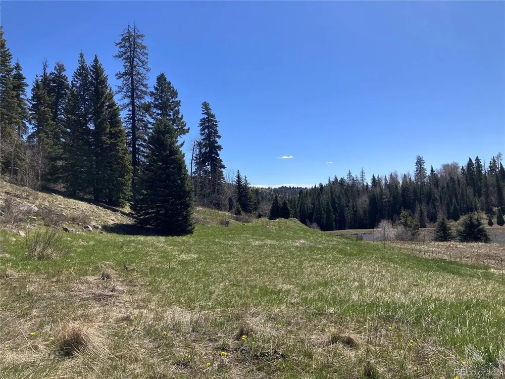 222 Lost Valley Drive Creede, CO 81130