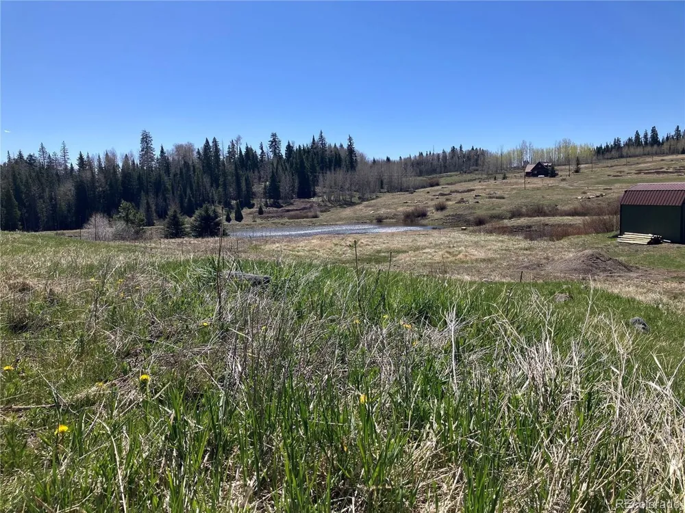 222 Lost Valley Drive Creede, CO 81130