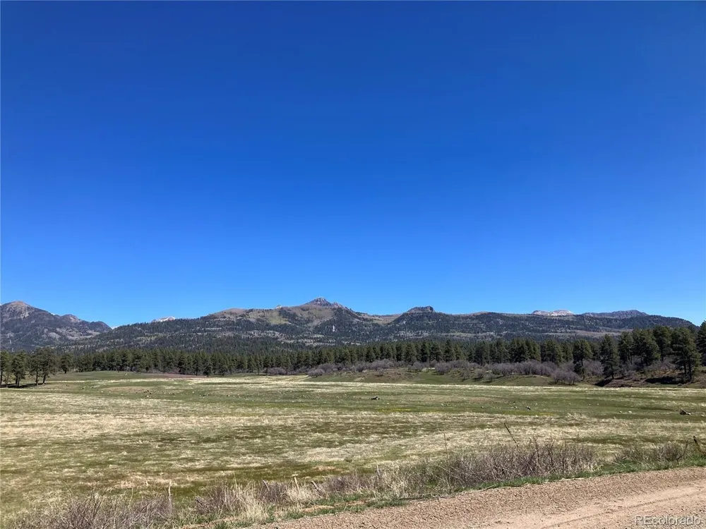 222 Lost Valley Drive Creede, CO 81130