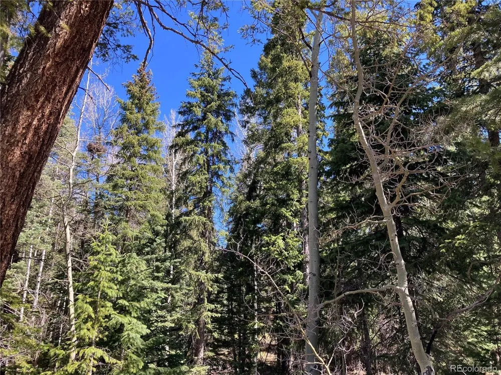 222 Lost Valley Drive Creede, CO 81130
