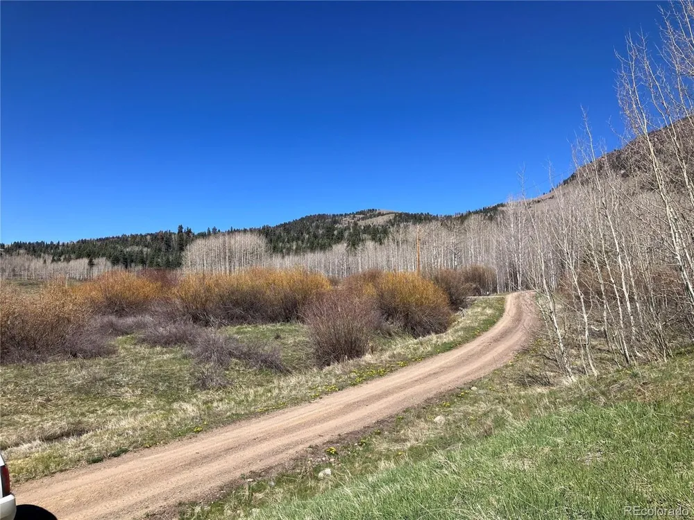 222 Lost Valley Drive Creede, CO 81130