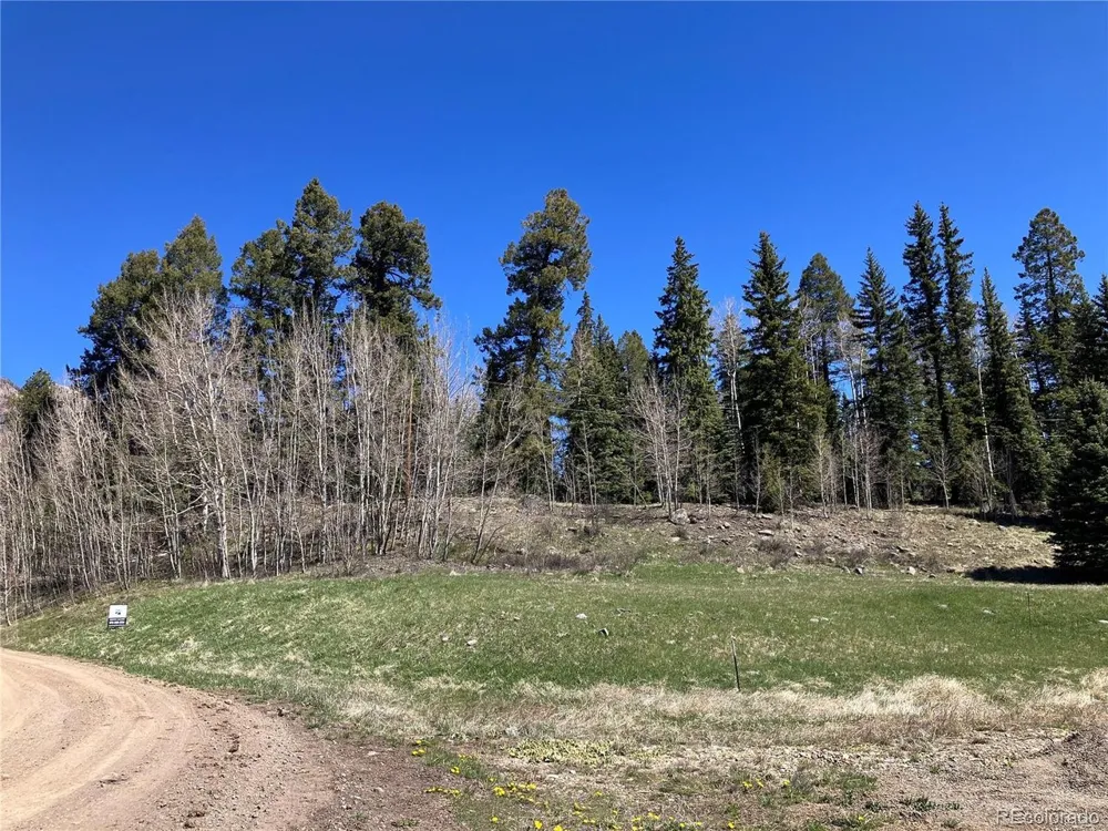 222 Lost Valley Drive Creede, CO 81130