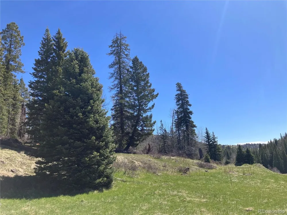 222 Lost Valley Drive Creede, CO 81130
